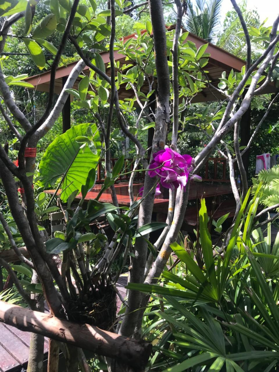 88 Homestay Bang Chak 外观 照片